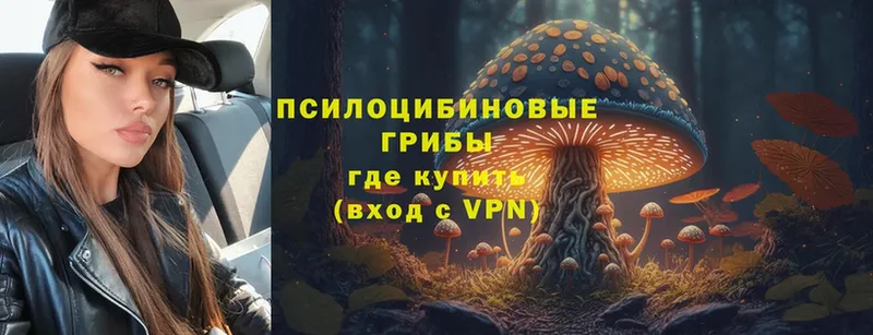 Галлюциногенные грибы Psilocybine cubensis  Верхняя Салда 